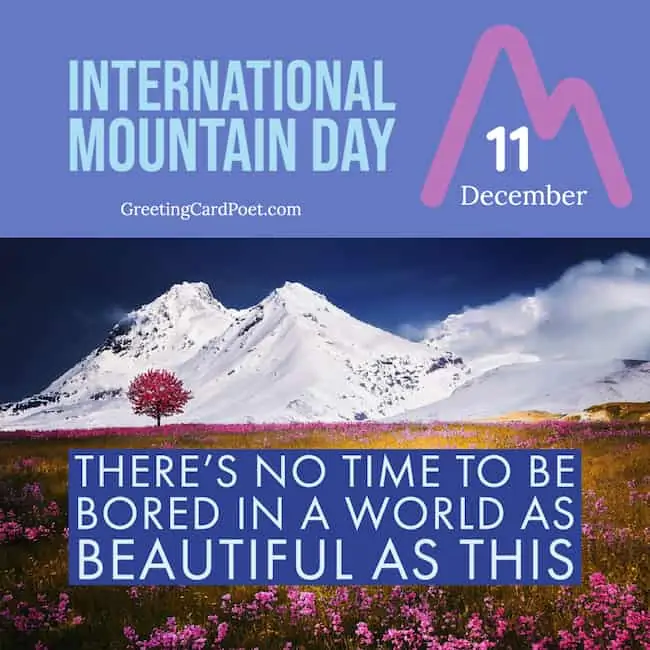 International Mountain Day.