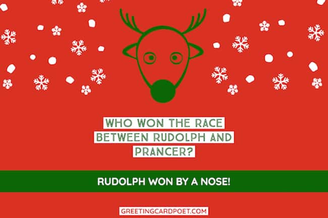 Reindeer riddles for Xmas