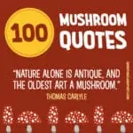 100 Best Mushroom Quotes