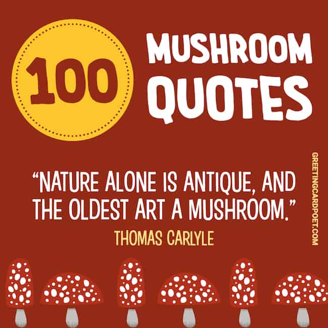 Good mushroom quotes