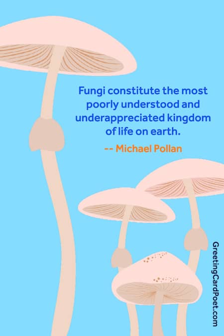 Michael Pollan quote on fungi