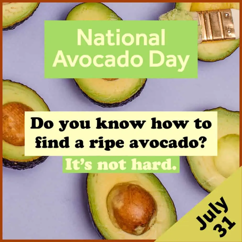 National Avocado Day Quotes, Captions, Fun Facts