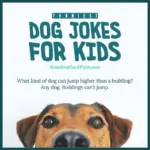 Best dog jokes for kids.