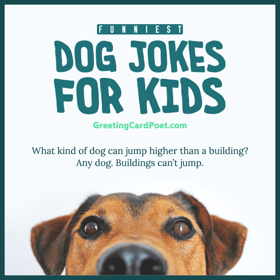Best dog jokes for kids.