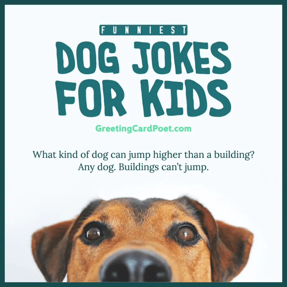 Dog Jokes For Kids