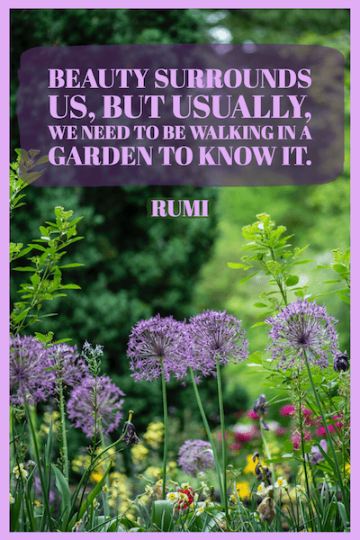 Garden quote by Rumi.