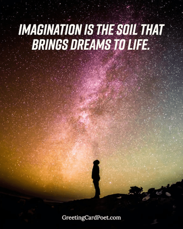 Imagination is the soil that brings dreams to life.