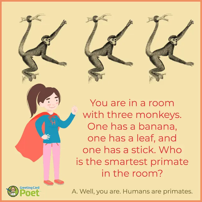 Smartest primate in the room riddle.