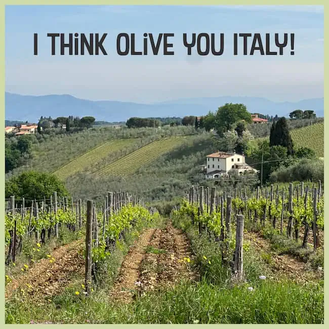 Olive Italy.