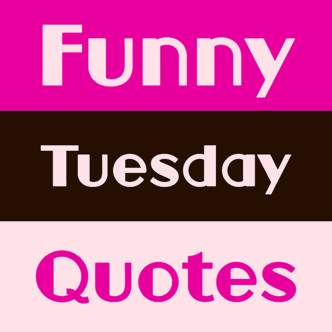 Very funny Tuesday quotes.