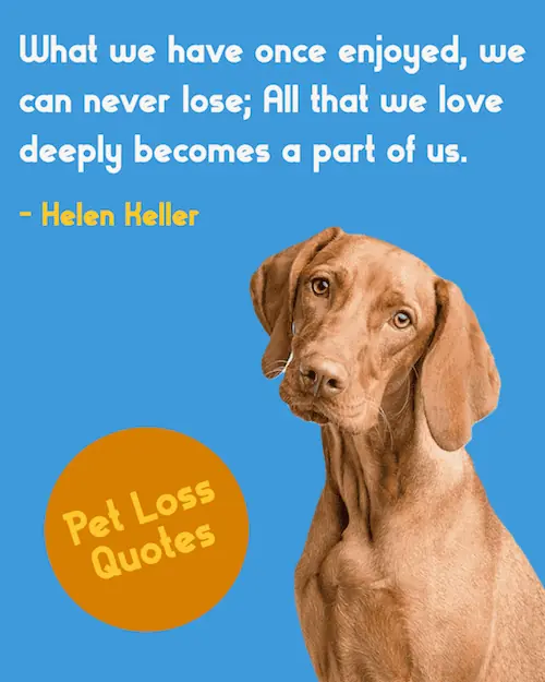 Helen Keller quote on loss.