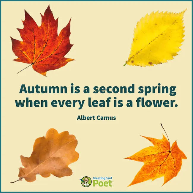 Albert Camus leaf is a flower quote.