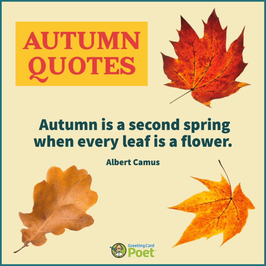 100 Autumn Quotes That Capture the Beauty of the Season