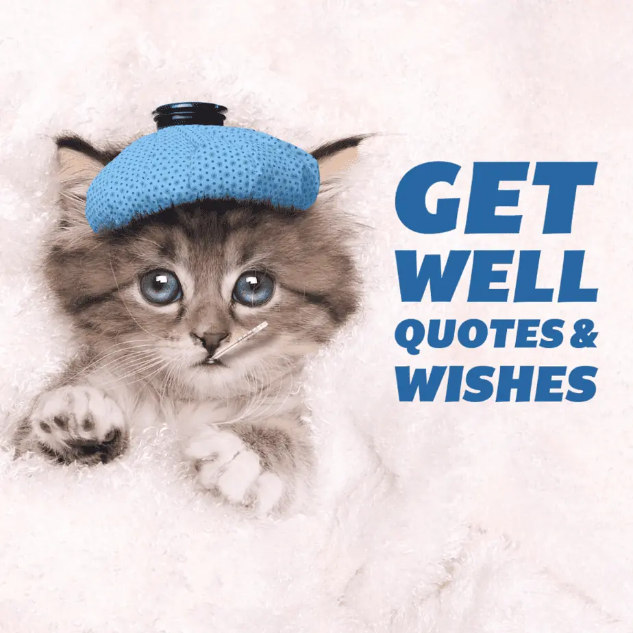Get Well Quotes & Wishes