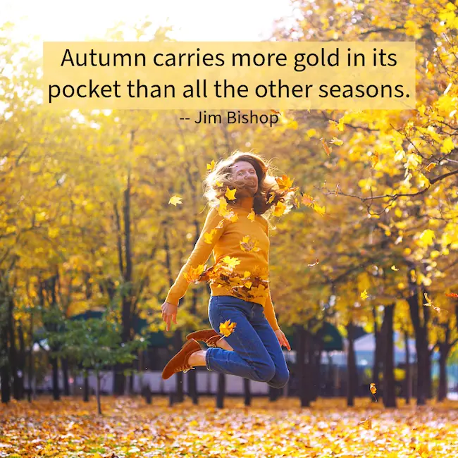 Autumn carries more gold - November quotes.