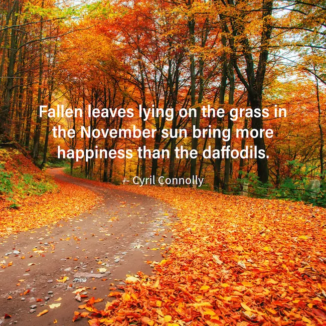 Fallen leaves bring more happiness quote.