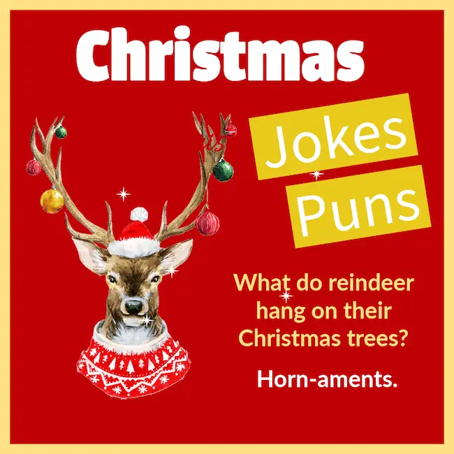 Christmas Jokes and Puns.