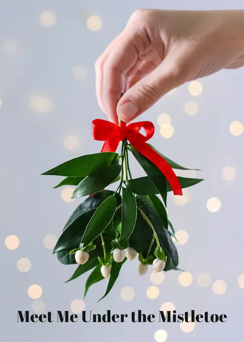 Meet Me Under the Mistletoe - Romantic Christmas Wishes.