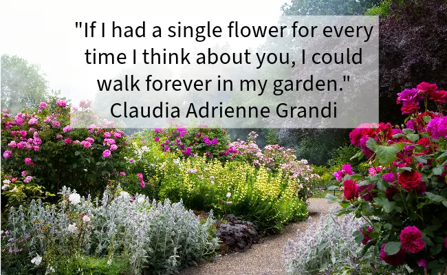Walk forever in my garden quote.