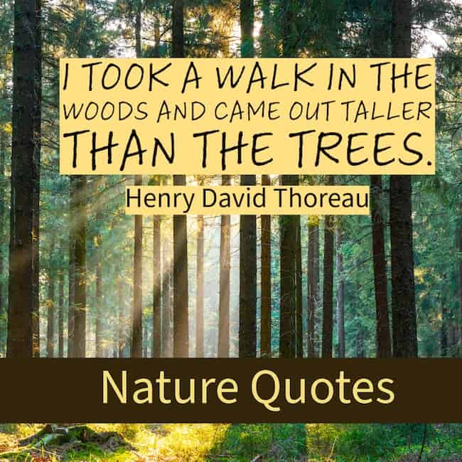 Beautiful Nature Quotes.