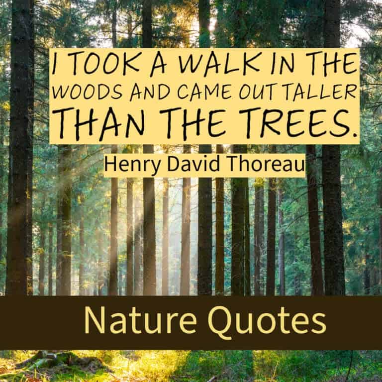Nature Quotes.