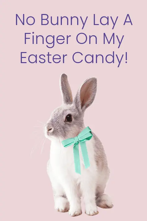 No bunny lay a finger on my candy.