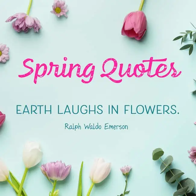 Beautiful Spring Quotes.