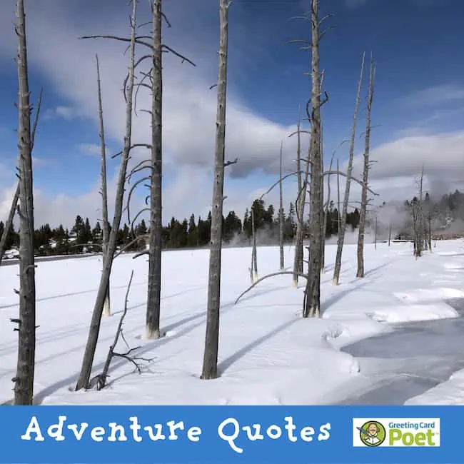 Best Adventure Quotes.