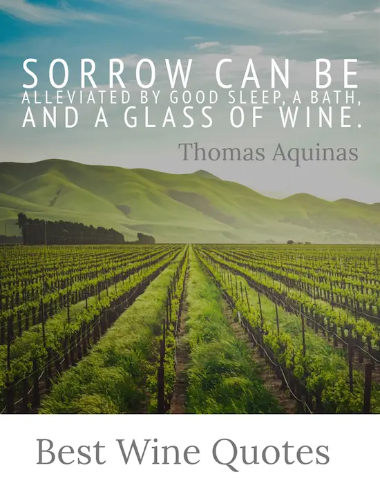 Best wines quotes and sayings.