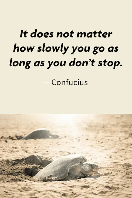 Confucius quote on not stopping.