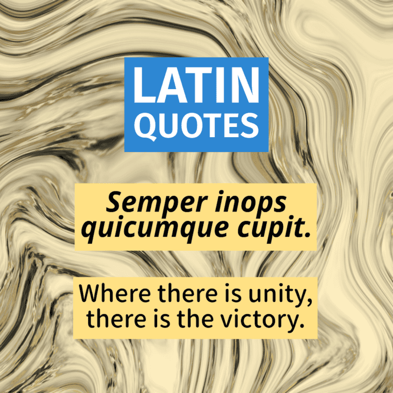 Best Latin Quotes and Sayings