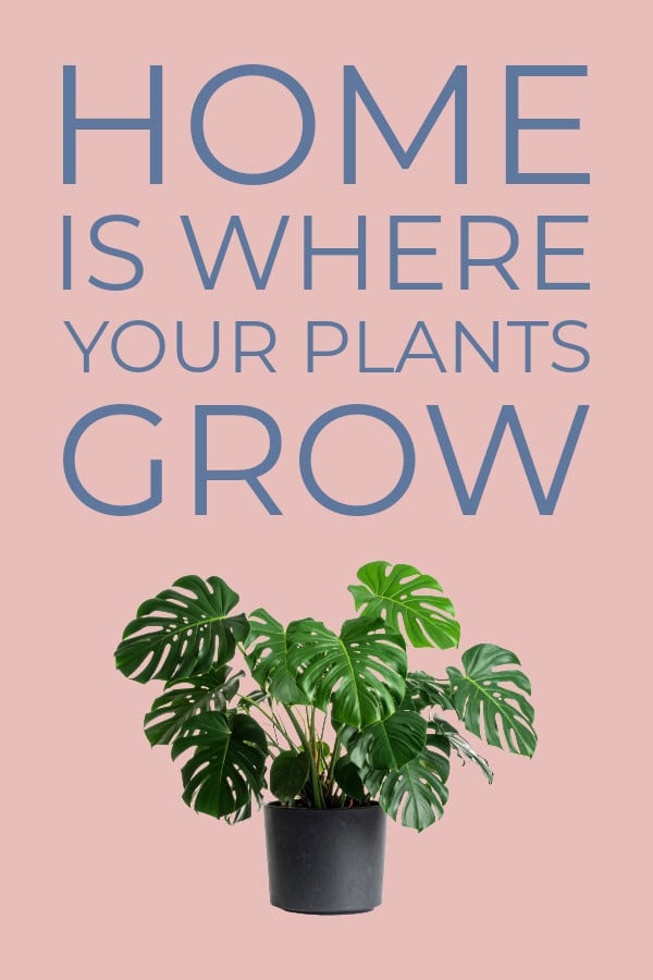 home is where your plants grow.