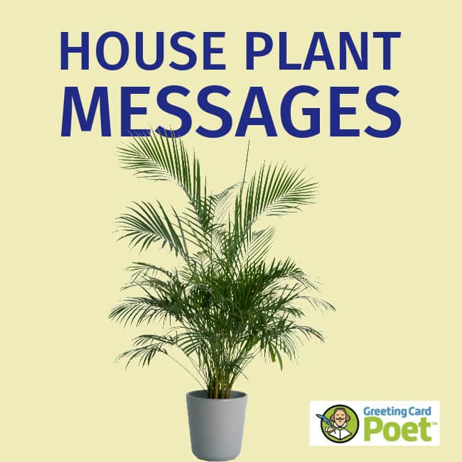 Message deas to accompany a plant gift.