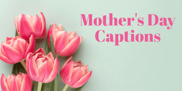 Captions Banner.